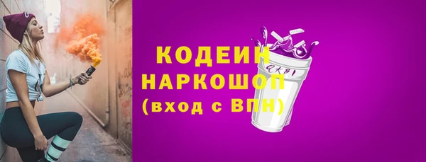 индика Карпинск