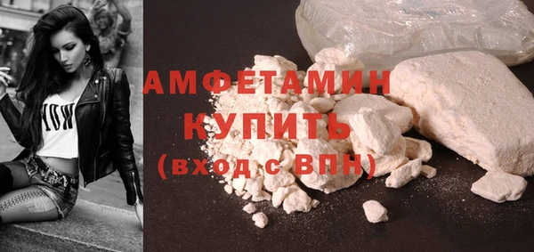 индика Карпинск