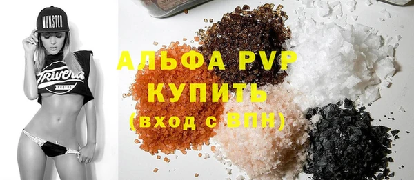 индика Карпинск