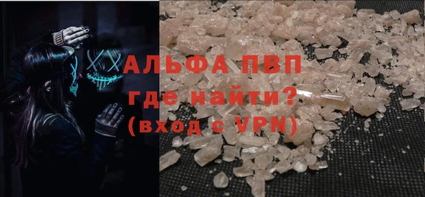 индика Карпинск