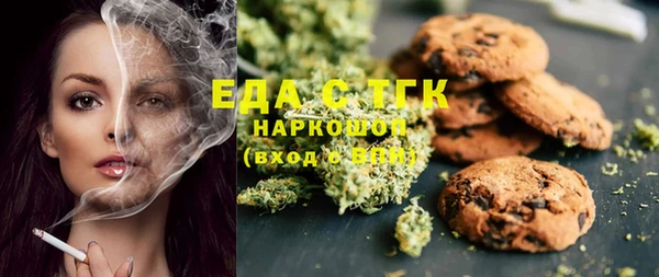 индика Карпинск