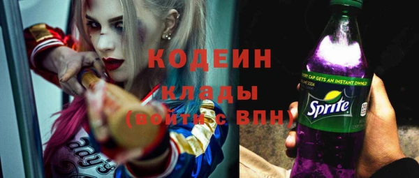 индика Карпинск