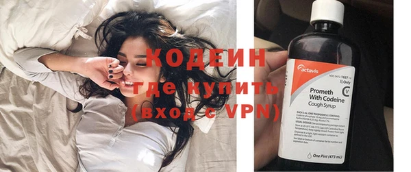индика Карпинск