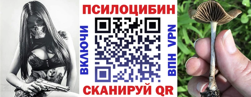 Псилоцибиновые грибы мицелий  Купить где  Духовщина 